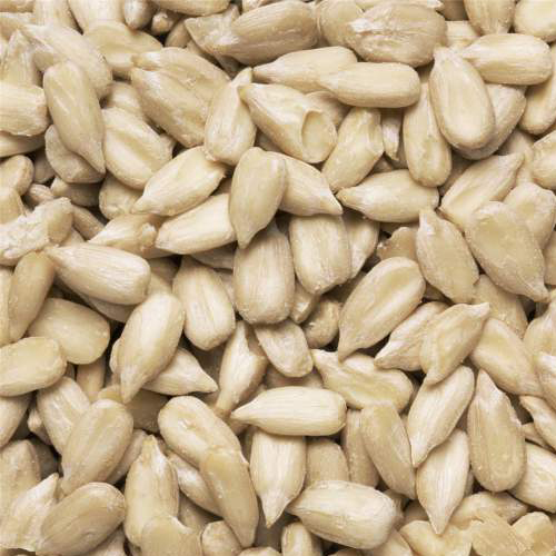 Wholesale pumpkin seed kernels